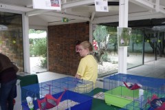 IMG-20240626-WA0005