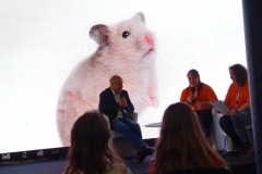 Conférence sur le hall central