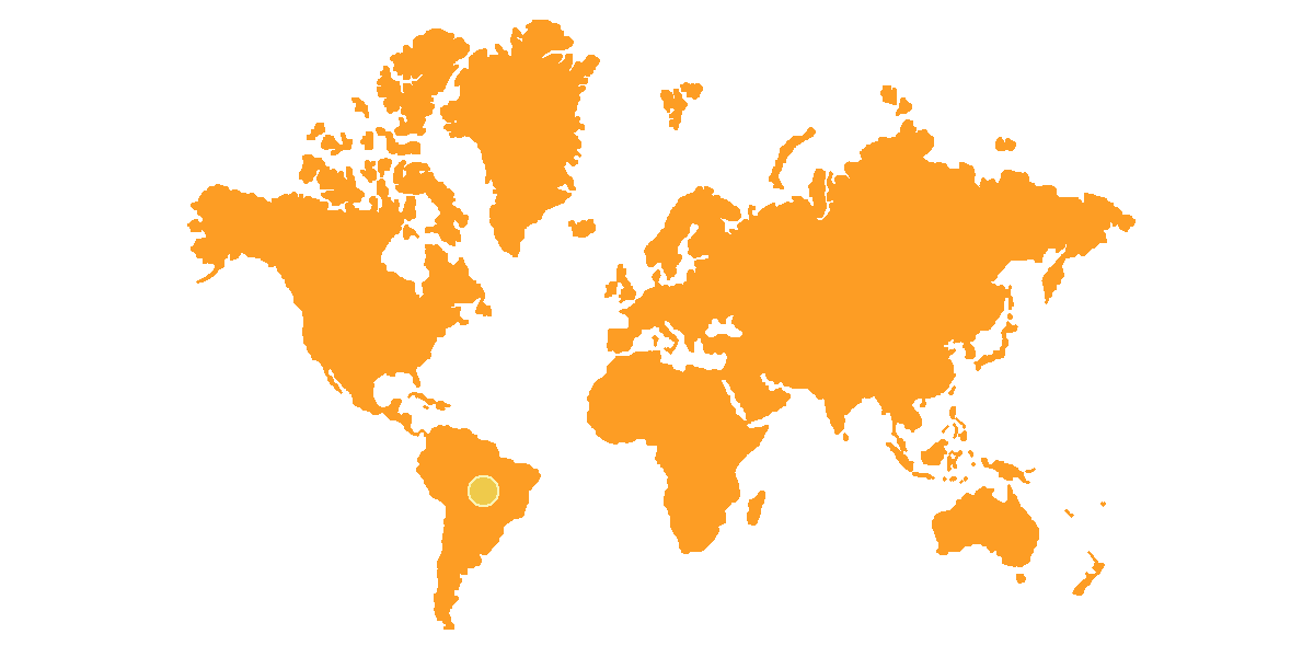 Le cochon d'inde est originaire d'Amérique du sud.